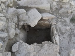 Yacimiento de la Almoloya 2023